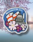 D.C. Cherry Blossoms by Outpatch