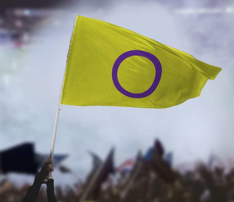 Intersex Pride Flag - Flags For Good