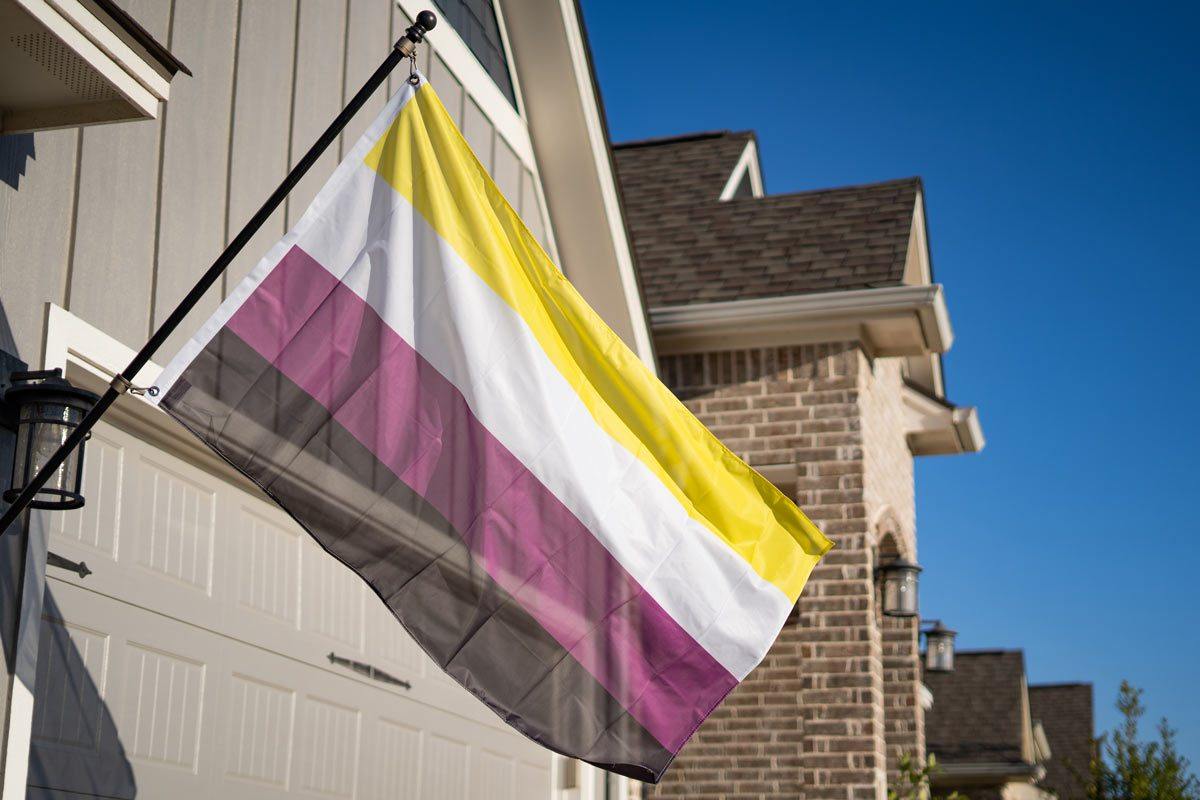 non-binary flag