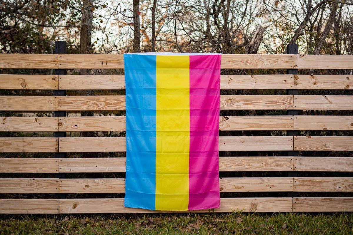 pansexual pride flag