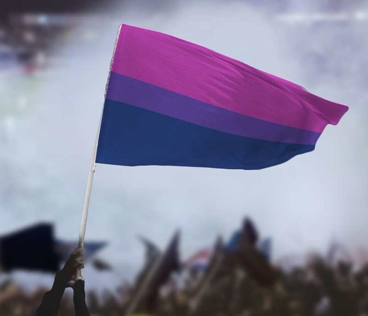 Bisexual pride Flag being flown above a crowd.