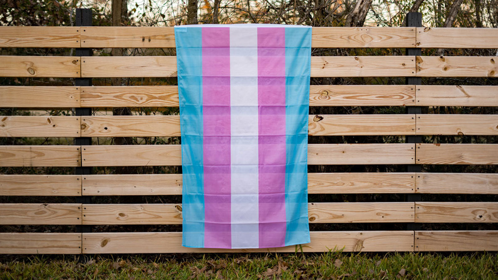 The Transgender Pride Flag: Colors, Meaning, and History