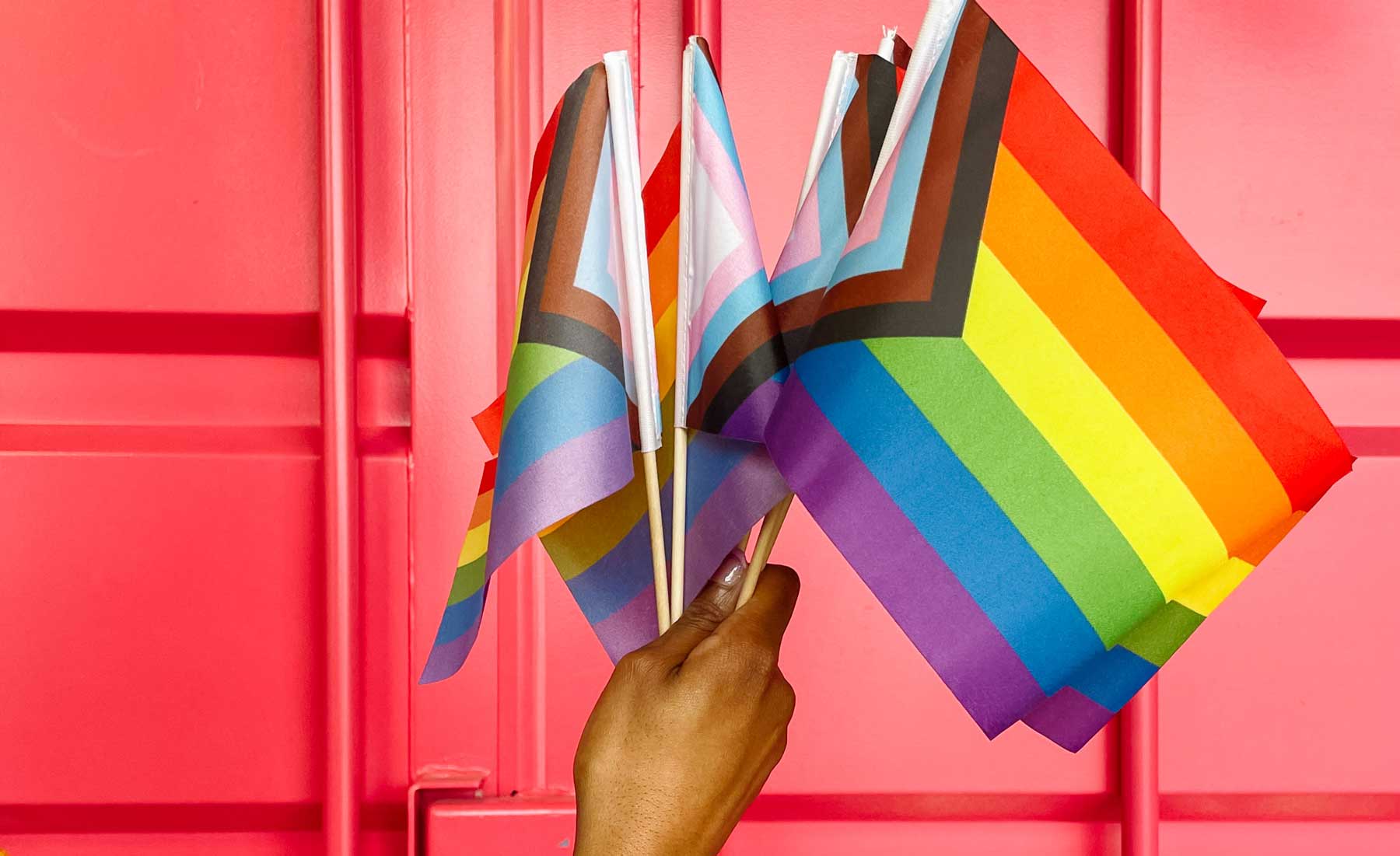 Progress Pride Hand Flags