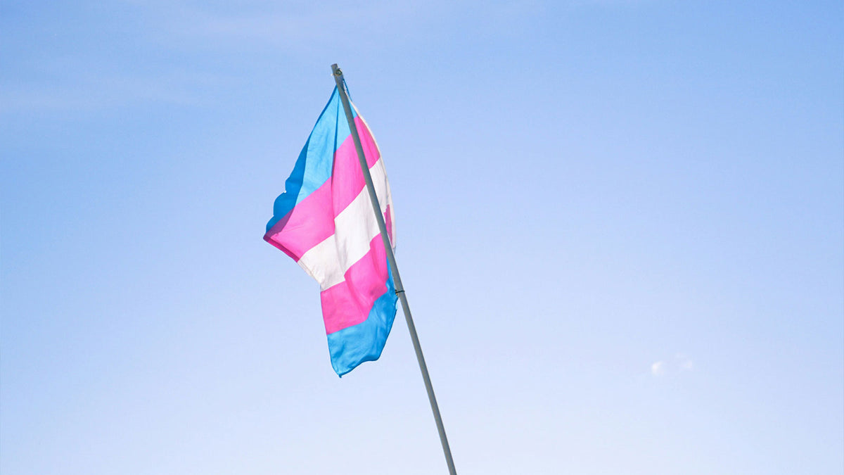 Transgender (Trans) Pride 🏳️‍⚧️
