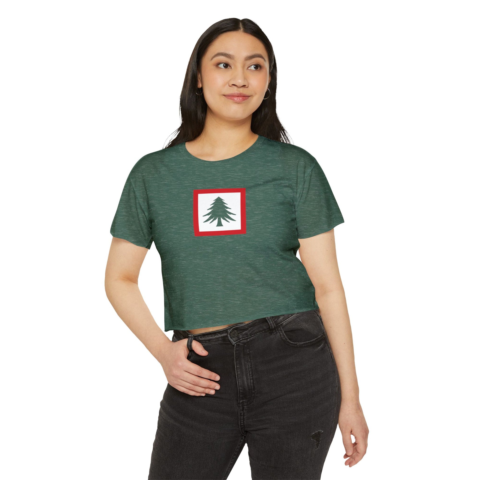 New England Flag Women's Crop Top