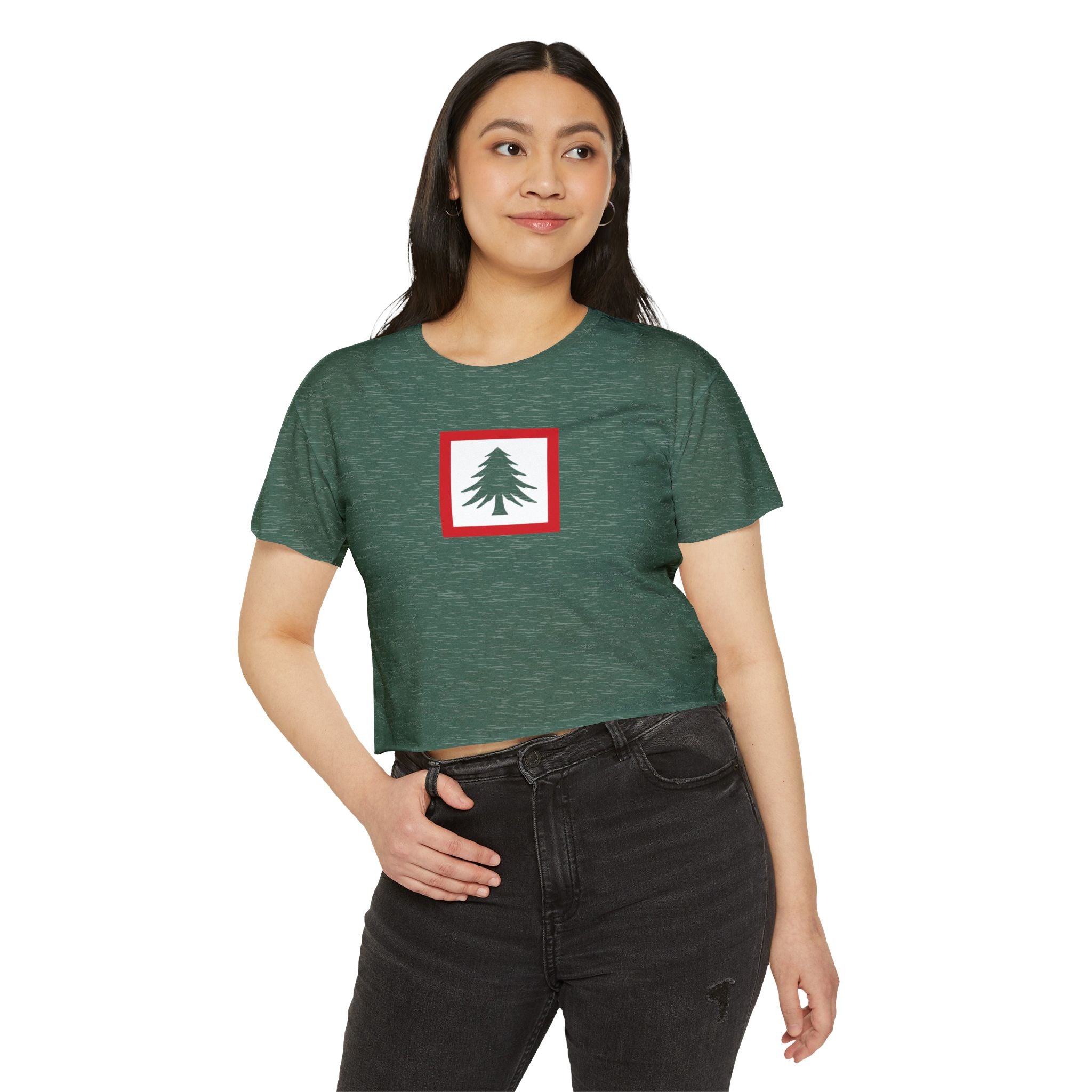 New England Flag Women's Crop Top