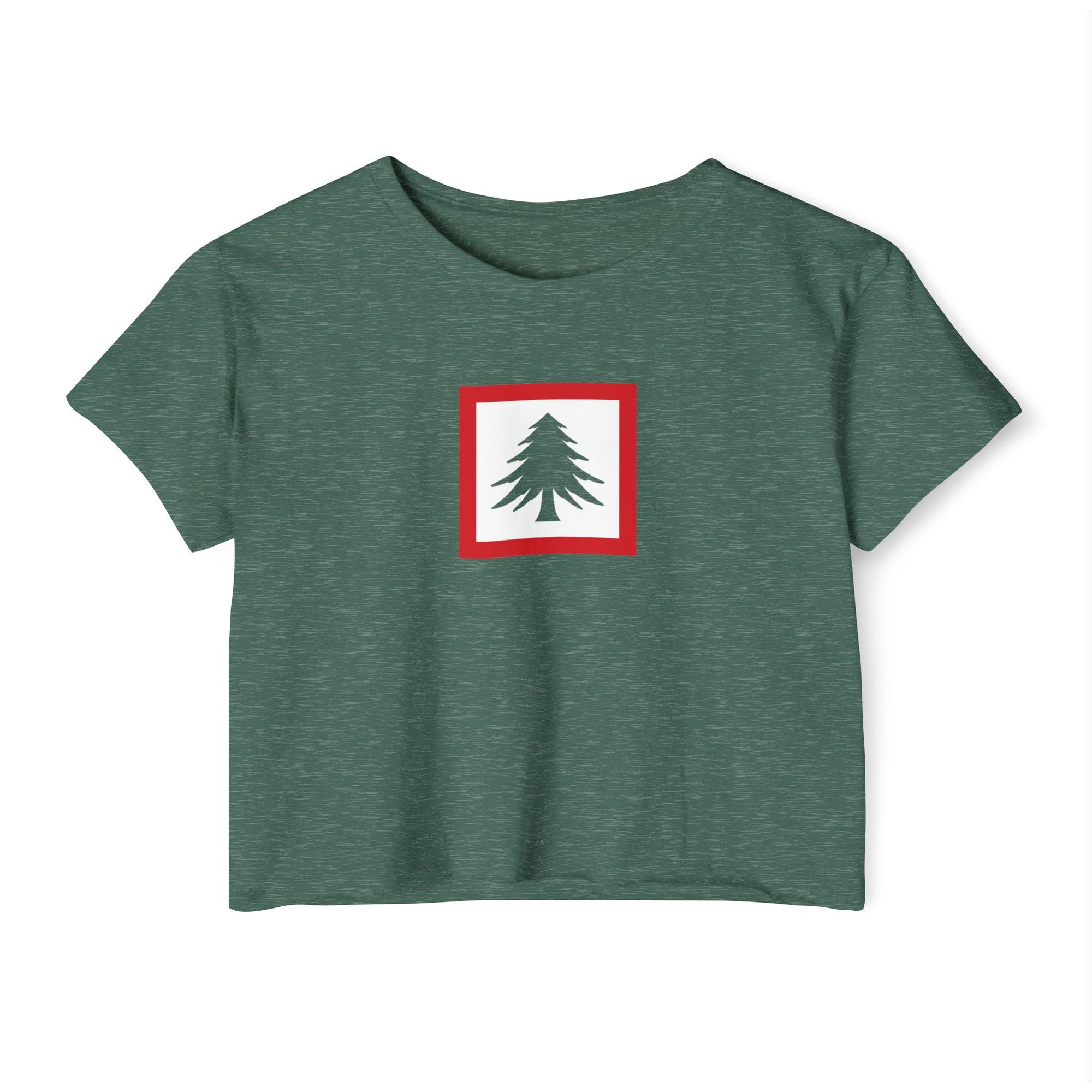 New England Flag Women's Crop Top