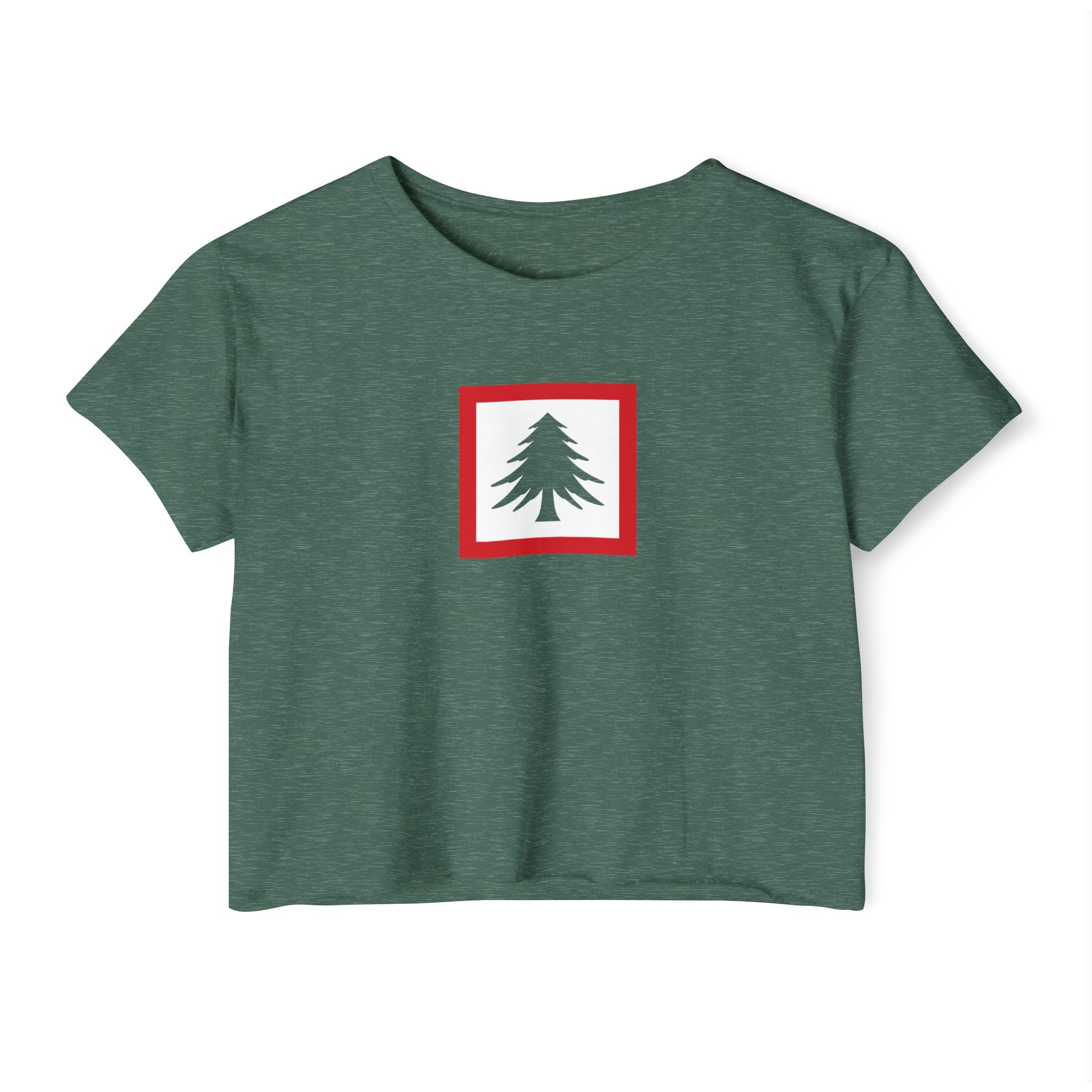 New England Flag Women's Crop Top