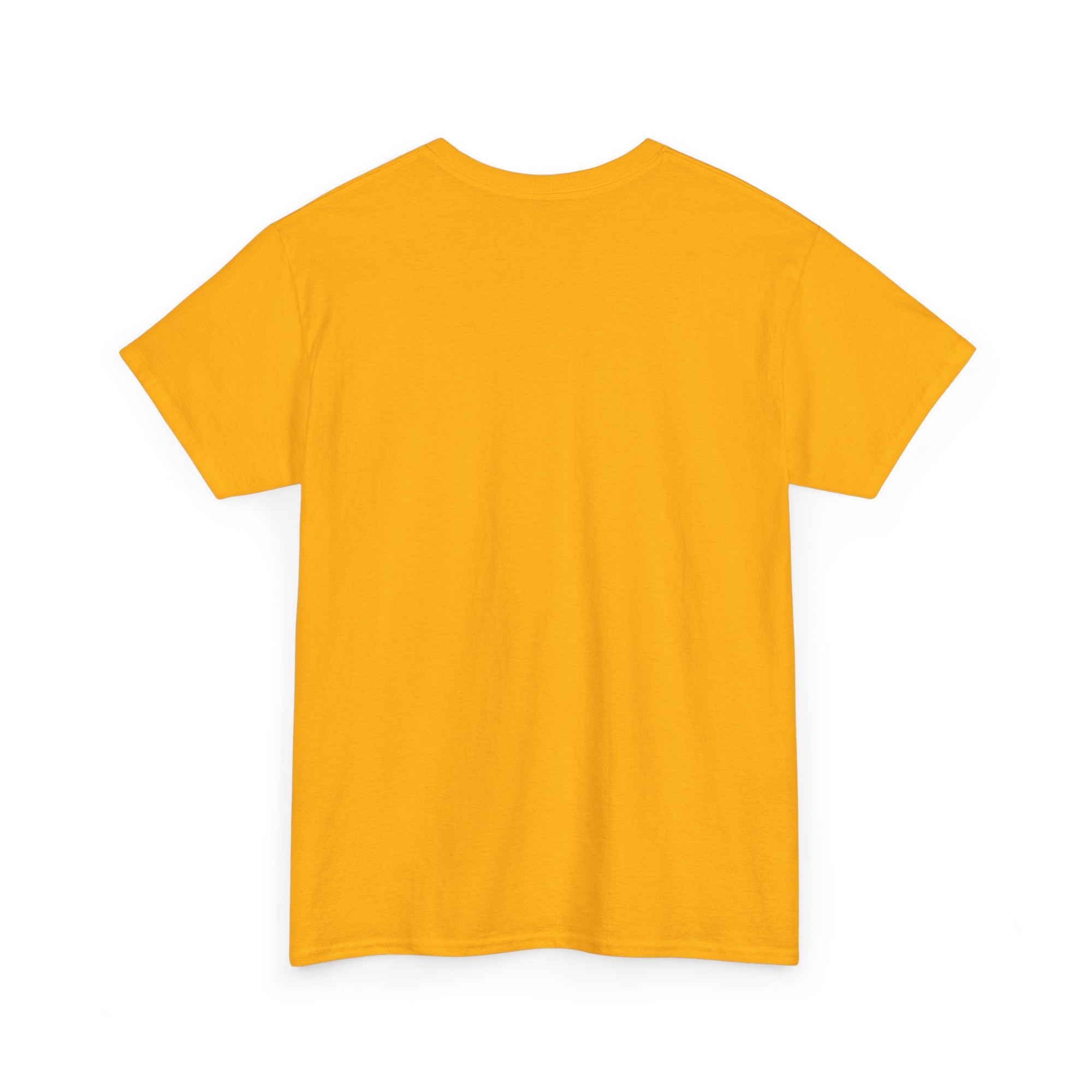 New Mexico Zia Flag Tee