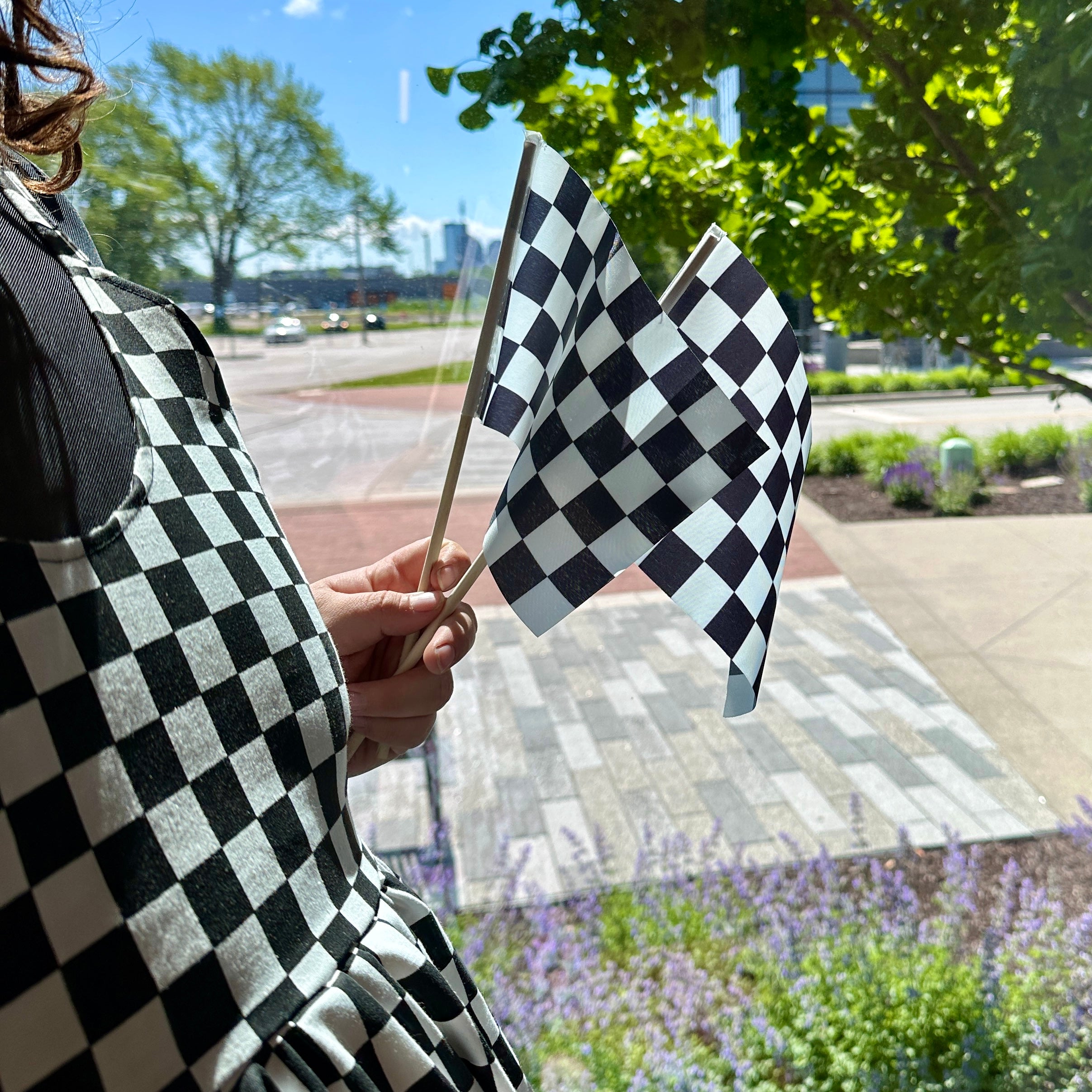 Checkered Hand Flags (Pack of 5) | Racing Flags | Flags For Good