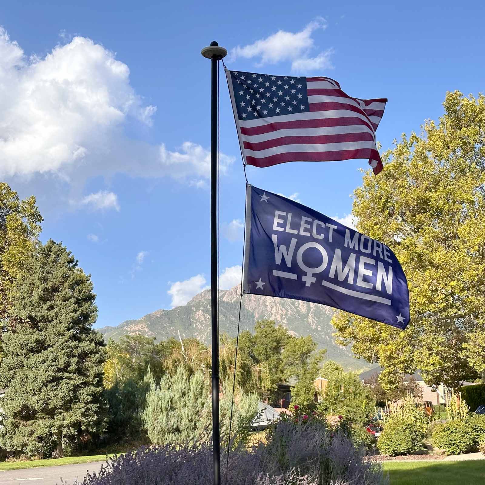 a blue flag with the words elect more women in the center with four stars and the international symbol for women flying on a flagpole in front of mountains