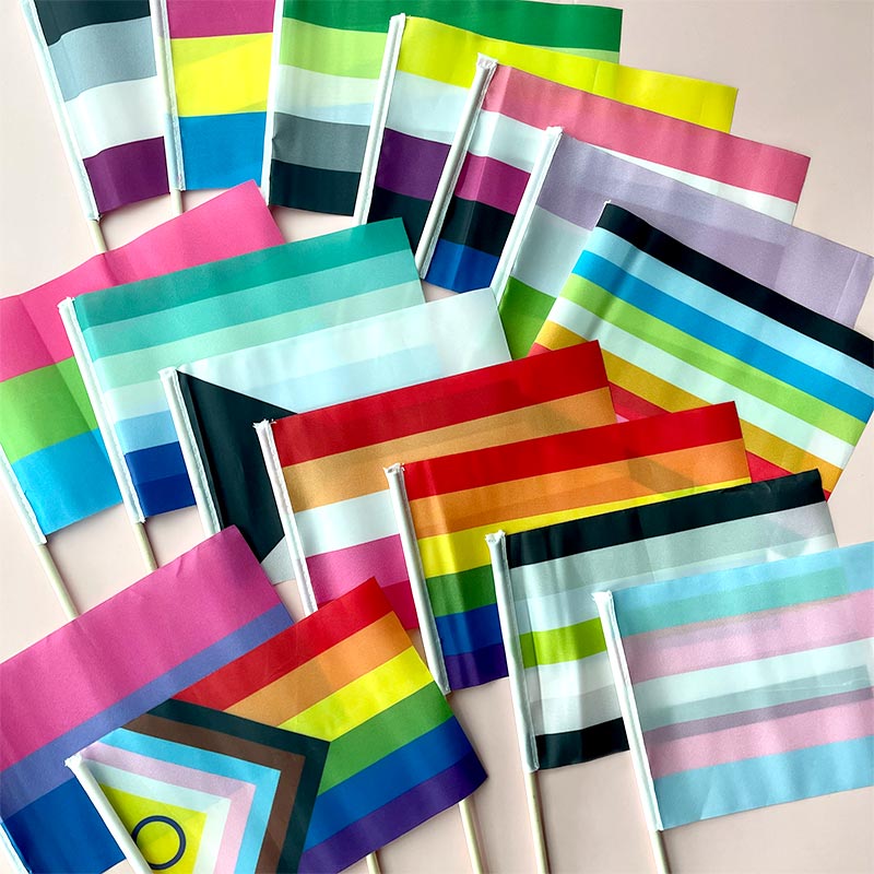 small handheld LGBTQ+ Party mix stick flags on wooden poles