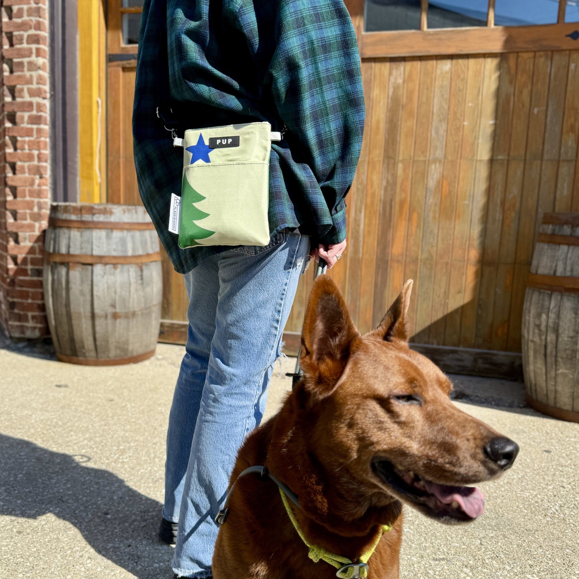 Maine 1901 Pine Tree Flag Crossbody Bag