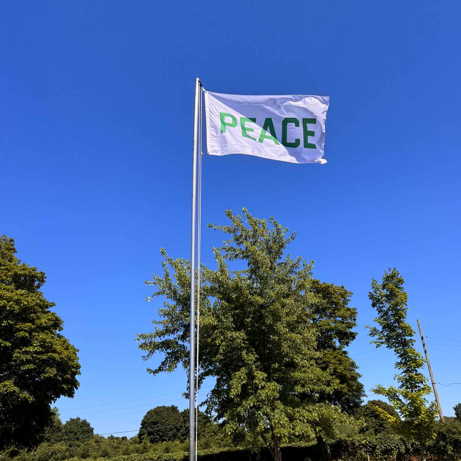 "PEACE" in green on a white flag on a flag pole