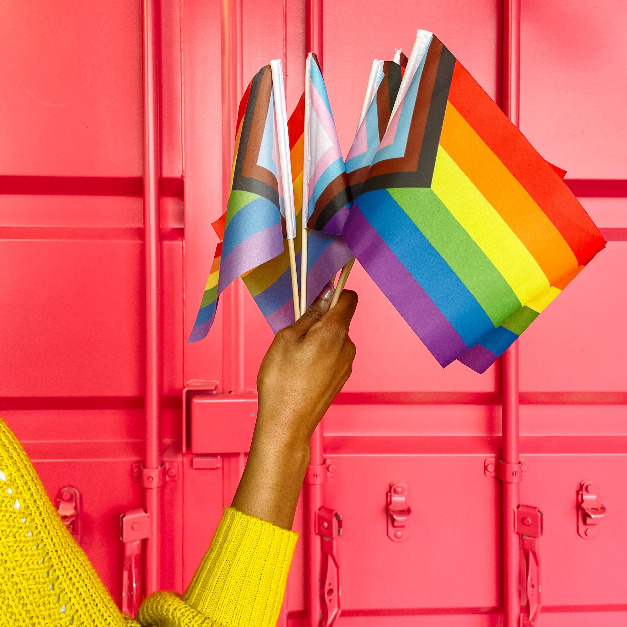 Progress Stick Flags | Mini Pride Flags on Sticks | Flags for Good ...