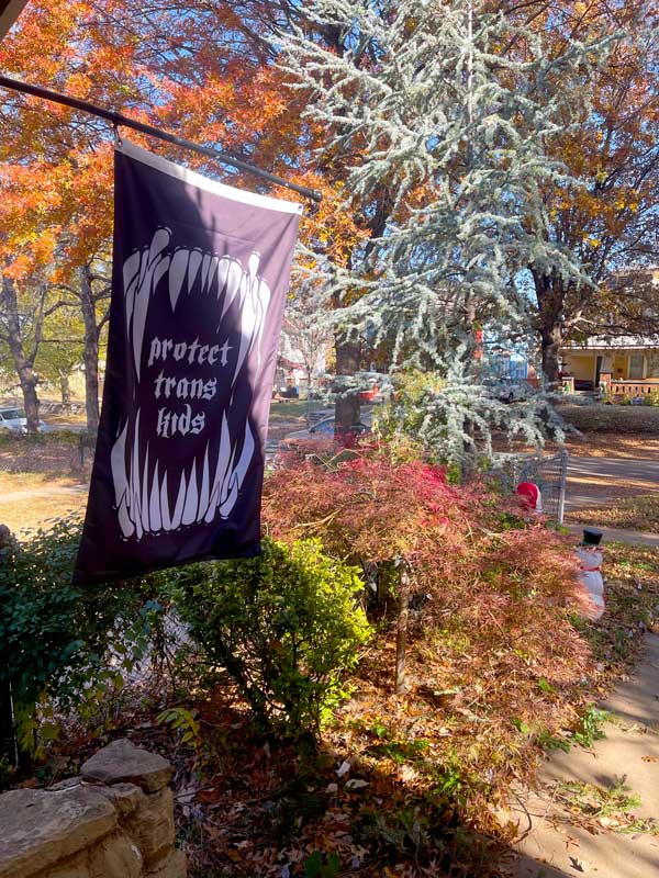 Protect Trans Kids Flag