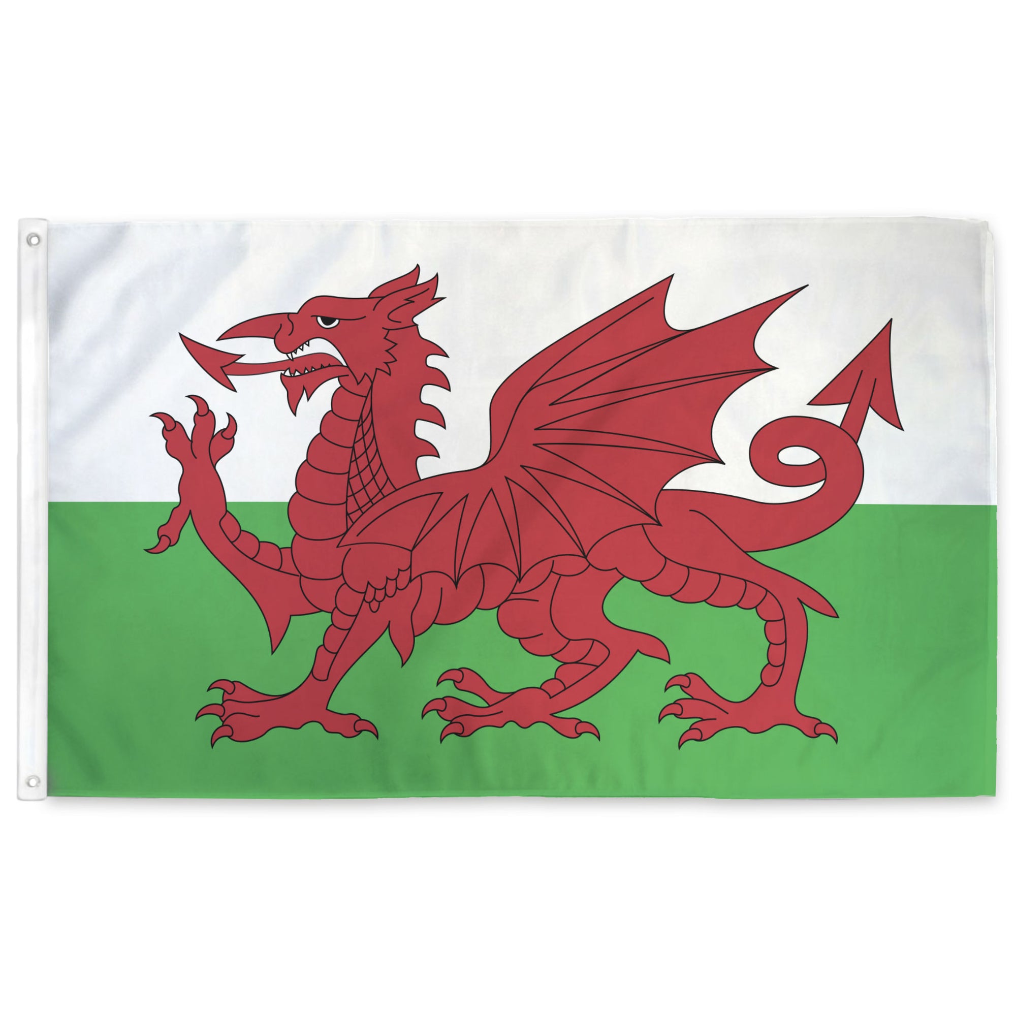Wales flag with a red dragon on a white and green background