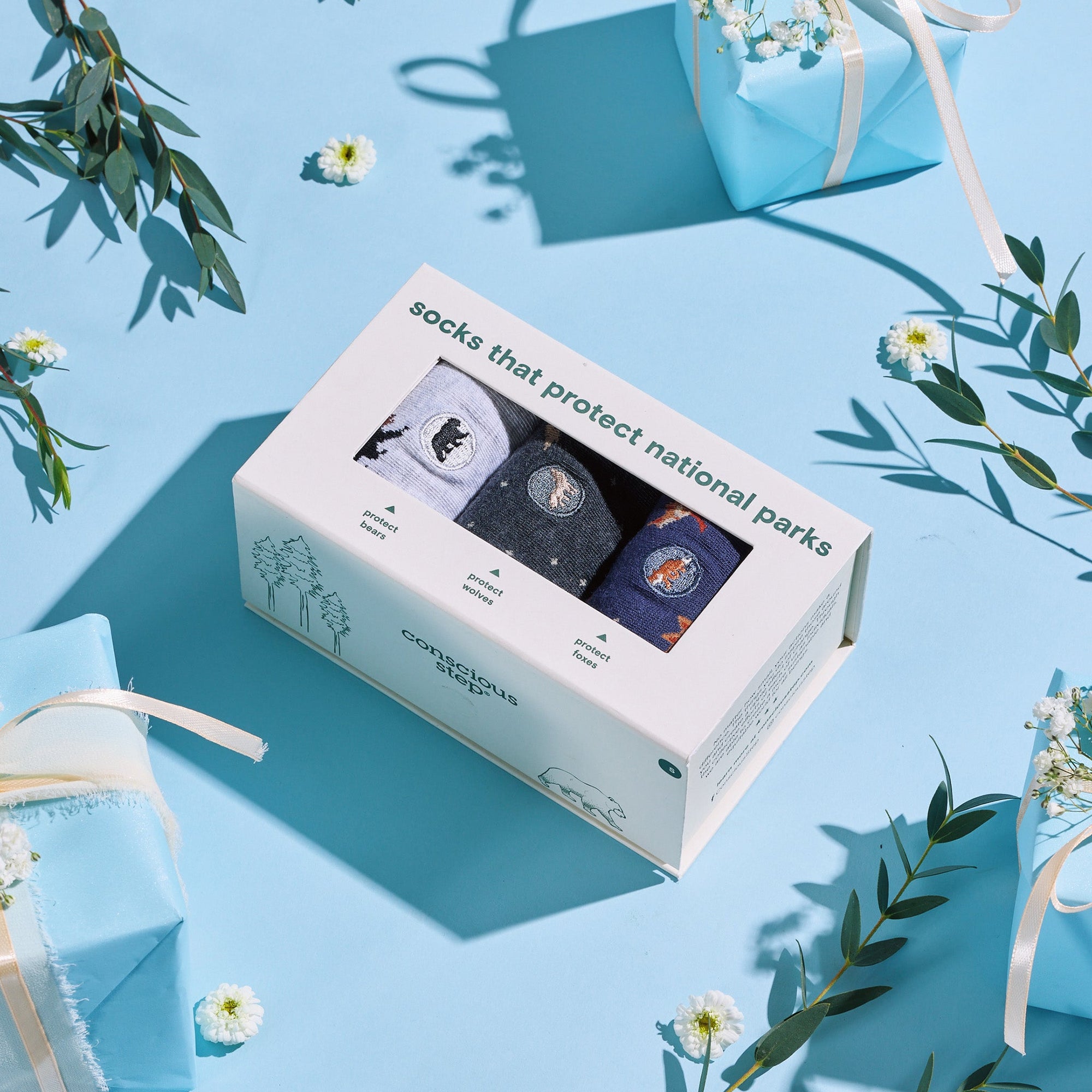 Protect National Parks Sock Gift Box