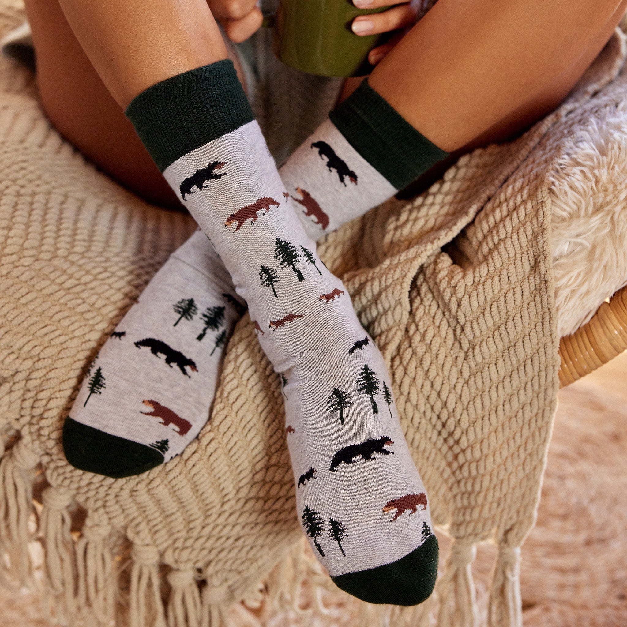 Protect National Parks Sock Gift Box