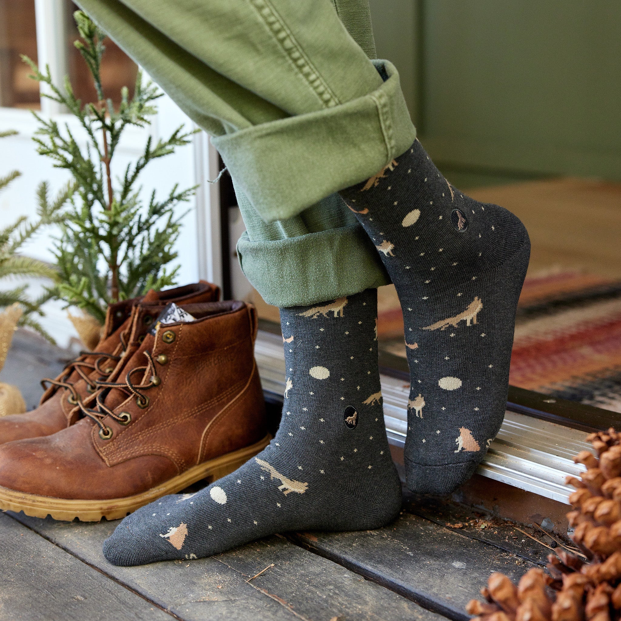 Protect National Parks Sock Gift Box