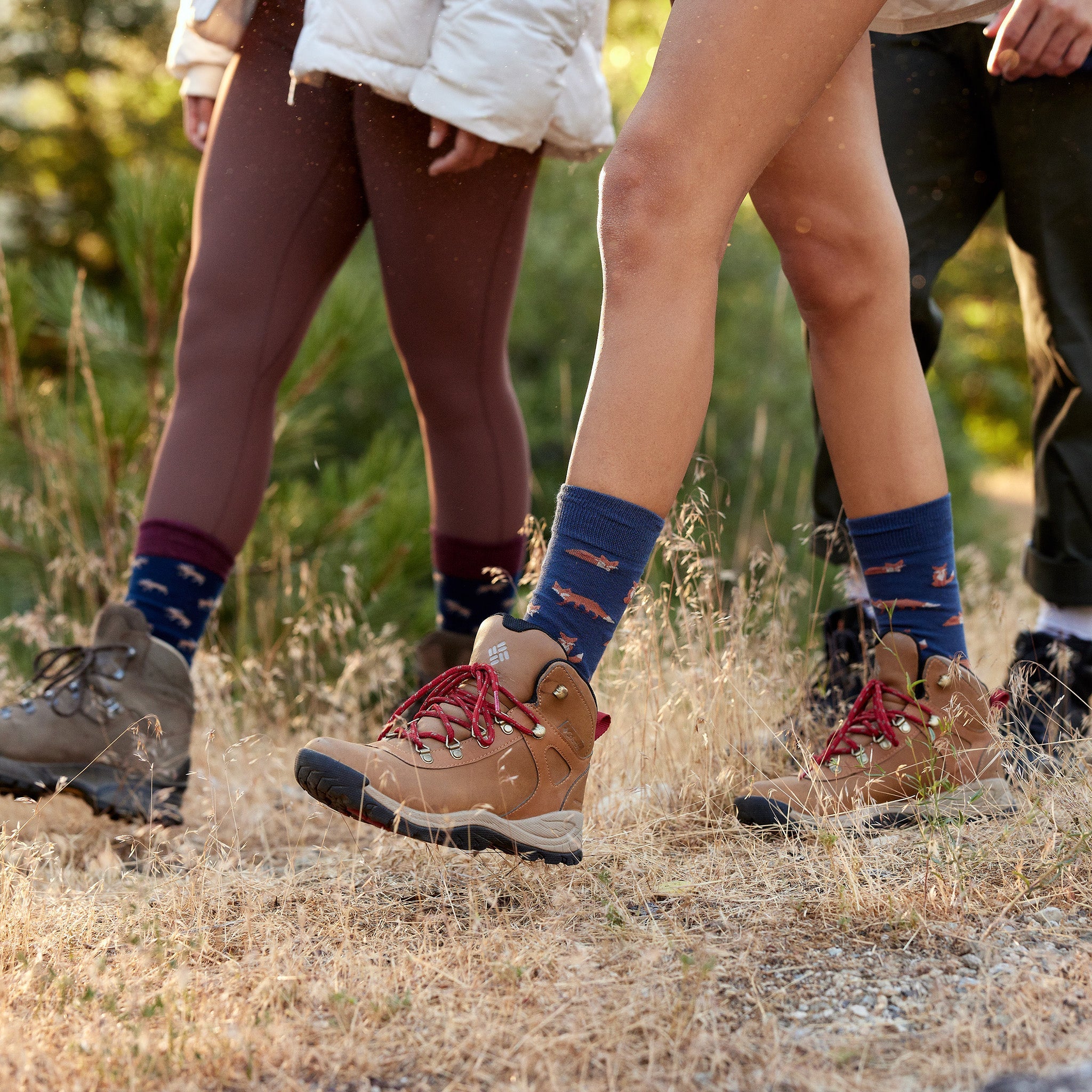 Protect National Parks Sock Gift Box