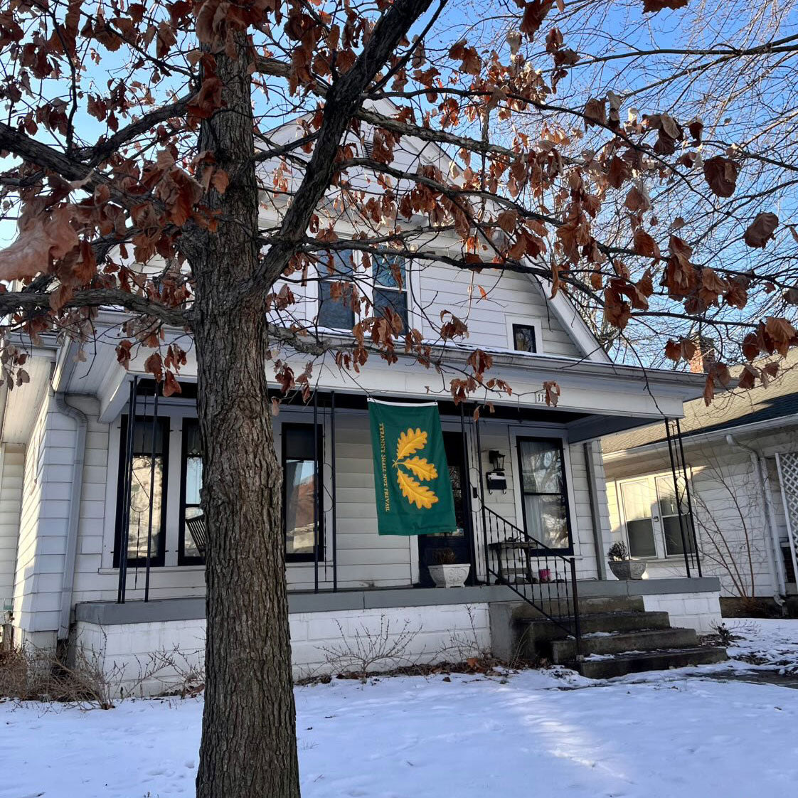 Tyranny Shall Not Prevail Green Flag on a house