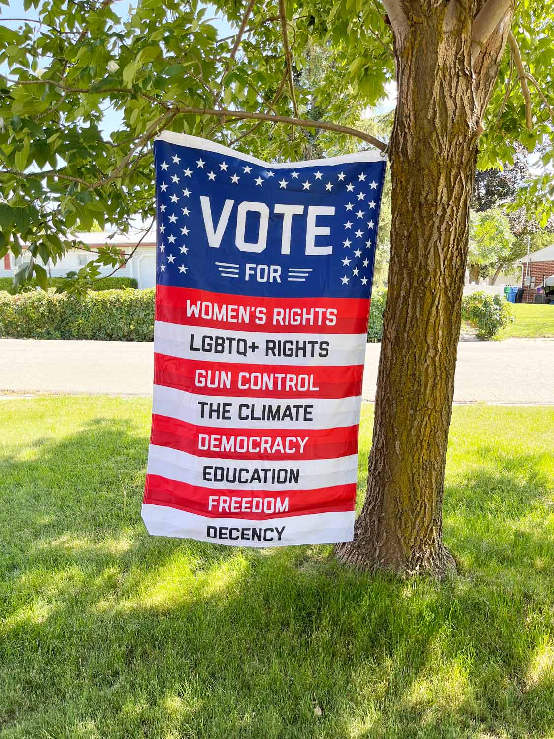 What You're Voting For flag hanging vertically from a tree branch