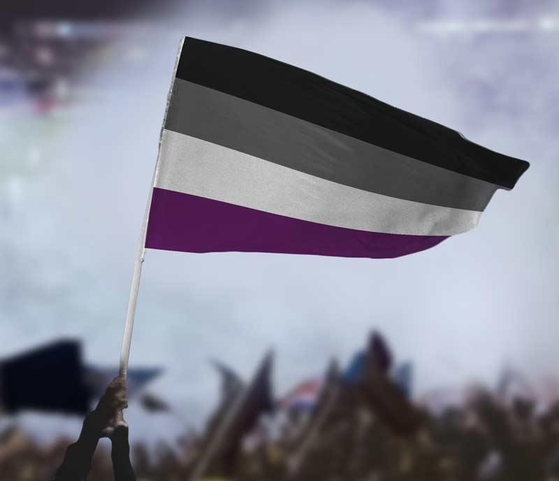 asexual pride flag
