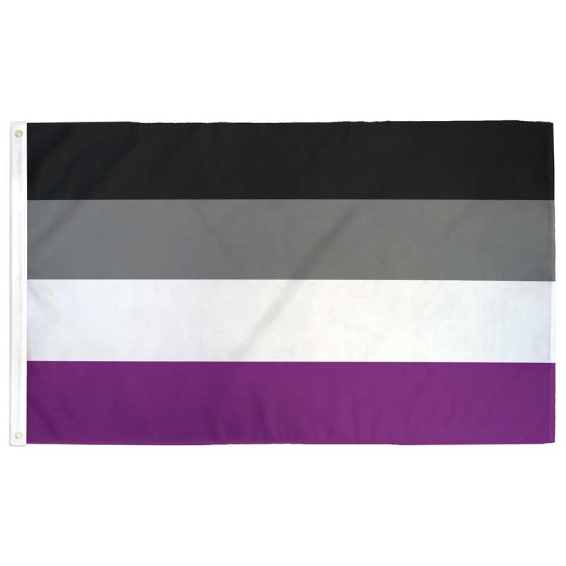 Asexual (Ace) Pride Flag - (M) 2ft x 3ft Single-Sided with Grommets
