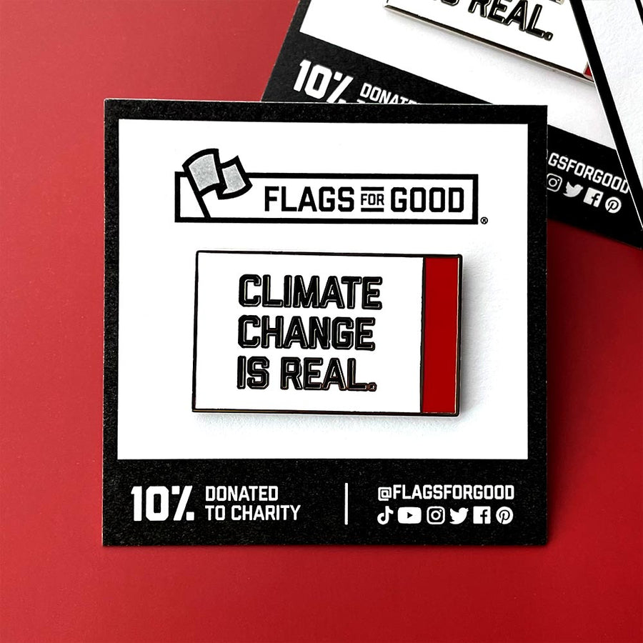 climate change is real hard enamel pin