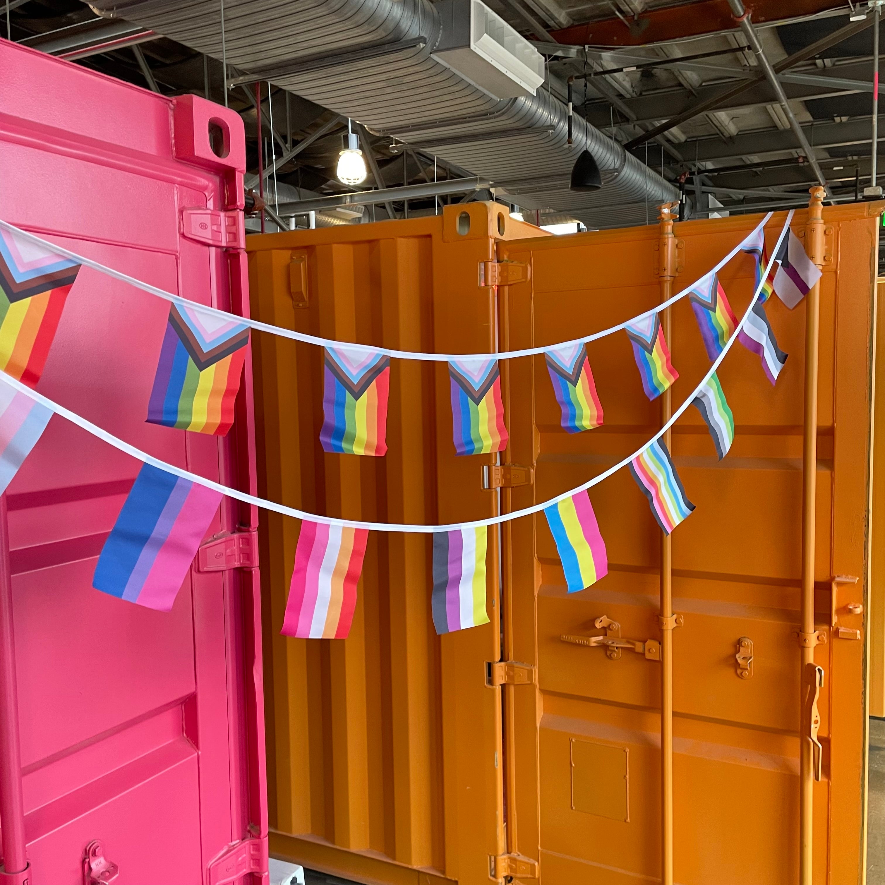 Progress Pride Flag Bunting