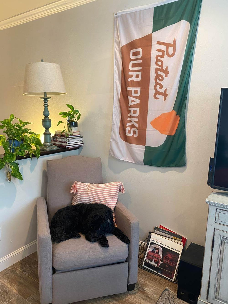 Customer photo of Protect out Parks flag hanging in their living room
