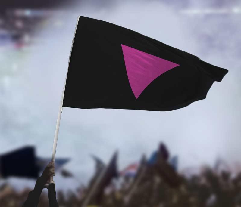 Pink Triangle LGBT Pride Flag - Flags For Good