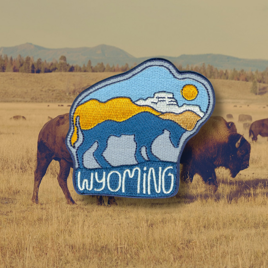 WY Bison Roam by Outpatch