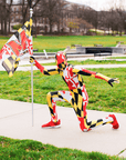 Maryland Flag / Body Suit